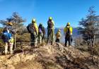 Estrategias y esfuerzos de bomberos sanjuaninos en la extinción de incendios forestales en Río Negro