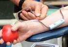 La importancia de donar sangre en época de vacaciones