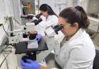 Impulsa Ciencia: el programa que potencia la investigación y la divulgación científica