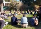 Terapia de grupo: espacios de acompañamiento y contención para fortalecer procesos de recuperación