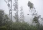 Alerta meteorológica: Se advierte la ocurrencia de fuertes vientos, para la madrugada y mañana de este miércoles 1 de julio.