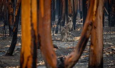 Planeta en alerta roja: la ONU advierte sobre efectos "irreversibles" y "sin precedentes" del cambio climático