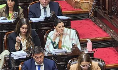 Media Sanción en Diputados: “Este es un primer paso, pero este es el camino"