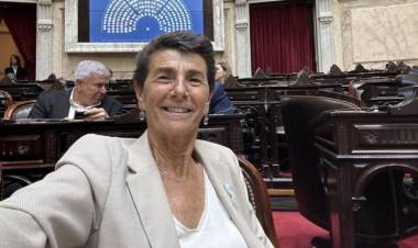 Diputados: presentan un proyecto para eliminar el vencimiento de la licencia de conducir