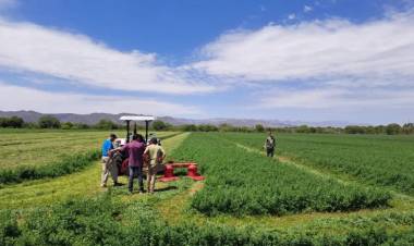San Juan lidera la consolidación de un clúster semillero en el norte de la provincia