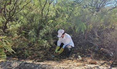 Ambiente inició la recolección de semillas para el Vivero de Plantas Nativas