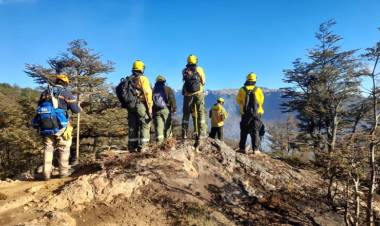 Estrategias y esfuerzos de bomberos sanjuaninos en la extinción de incendios forestales en Río Negro
