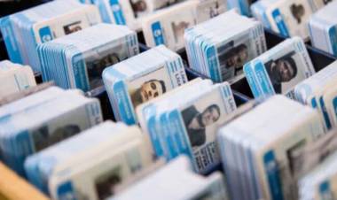 Ley de Tránsito: oficializaron más cambios en licencias de conducir profesionales