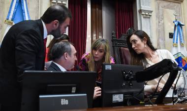 El Senado debatirá esta semana el proyecto de Ficha Limpia