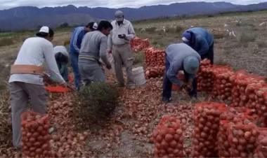 Productores de Jáchal exigen participación en decisiones sobre el agua