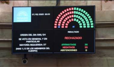 El Senado rechazó Ficha Limpia: los misioneros Arce y Rojas Decut bloquearon la ley junto al kirchnerismo