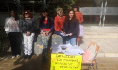 “Hogar Animal” de Jáchal: Integrantes presentaron notas ante la Municipalidad y el Concejo Deliberante para solucionar un problema de gravedad
