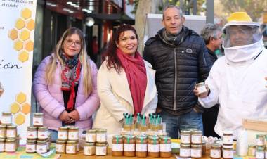 Feria especial por el Día Internacional de las Abejas en San Juan