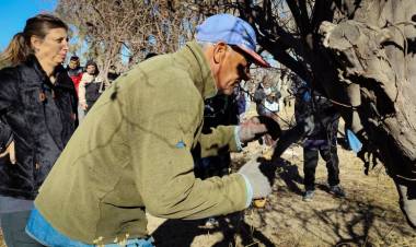 Capacitaron en poda de membrillo al sector productivo de Jáchal