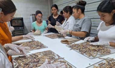 Una escuela de Valle Fértil modernizará herramientas para su producción de algarroba