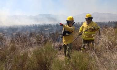 Bomberos de San Juan sofocaron más de 30 incendios tras el viento Zonda