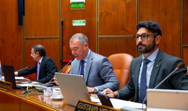 Cámara de Diputados, Segunda Sesión Especial: tratamiento exclusivo del Régimen de Zona Fría