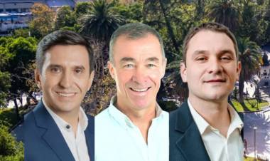 Legislativas en  San Juan: entraron Andino, Martín y Chiconi