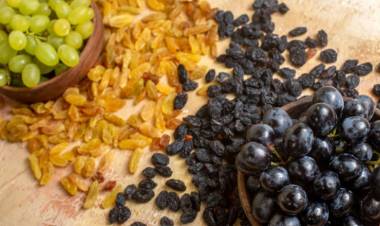 Se consolida la recuperación de exportaciones vitícolas impulsada por la pasa de uva