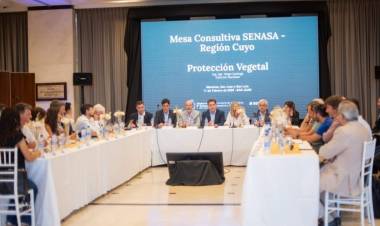 La Mesa Consultiva Regional del SENASA sesionó en San Juan