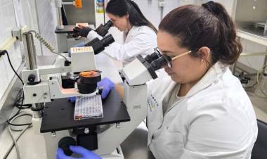 Impulsa Ciencia: el programa que potencia la investigación y la divulgación científica