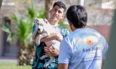 Realizarán operativos y actividades gratuitas en el marco del Día del Animal