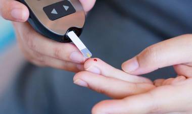 Células madre y diabetes tipo 1: ensayos abren una vía en la búsqueda de una cura con terapias personalizadas