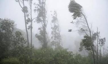 Alerta meteorológica: Se advierte la ocurrencia de fuertes vientos, para la madrugada y mañana de este miércoles 1 de julio.