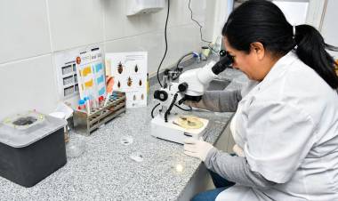 Salud transforma el Programa de Vectores en un centro especializado en Chagas