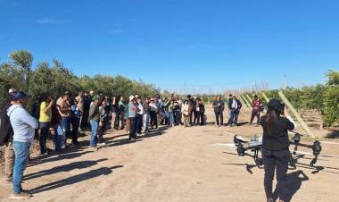 Cien empresas de distintas provincias se sumaron a la Jornada a Campo de ArgOliva