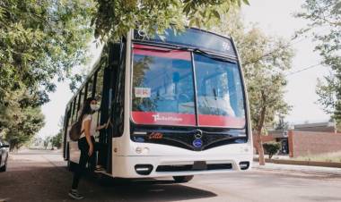 La UTA no acató la conciliación obligatoria: el paro de colectivos seguirá hasta el jueves 8 de octubre
