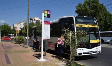 Se levantó el paro de colectivos: Choferes y empresarios alcanzaron un acuerdo y el servicio se restituirá 
