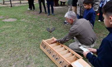 San Juan liberó aves autóctonas recuperadas del tráfico ilegal