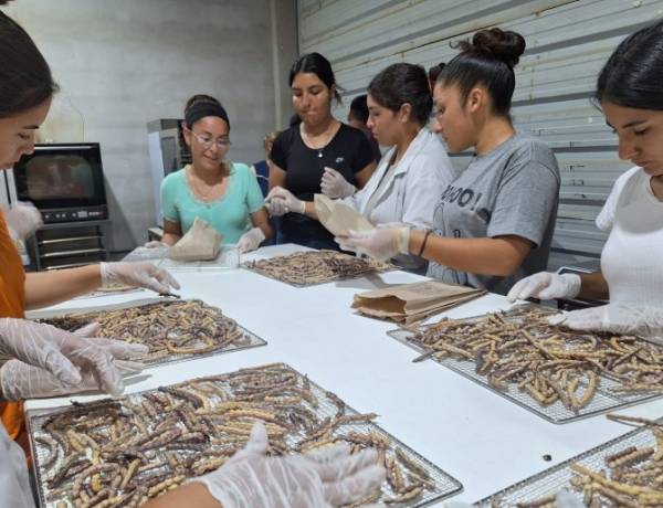 Una escuela de Valle Fértil modernizará herramientas para su producción de algarroba