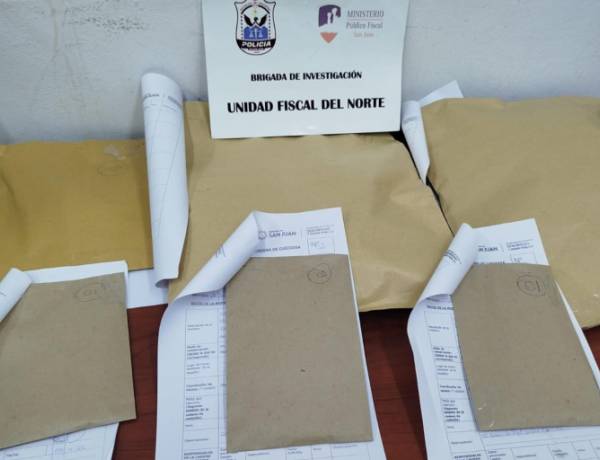 Actuación de Oficio: La UFI del Norte inició una investigación con allanamientos y secuestros  ante  el video del puma  atacado por perros y la participación  de personas