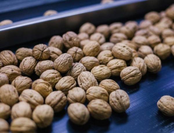 Frutos secos en San Juan: entre la dificultad climática y una recuperación exportadora en marcha