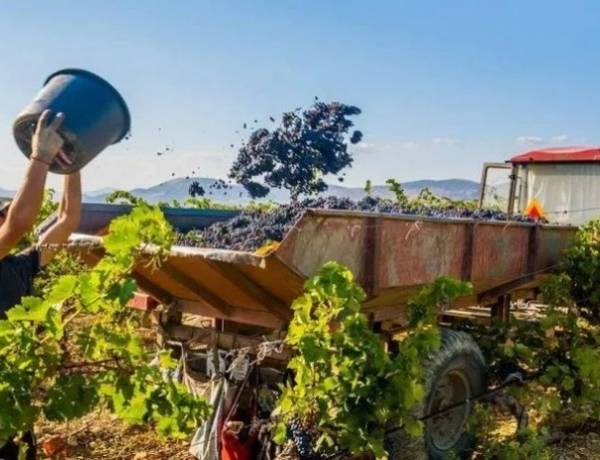 Orrego lanzó un plan de $11.000 millones para financiar la cosecha y elaboración de sectores agroindustriales