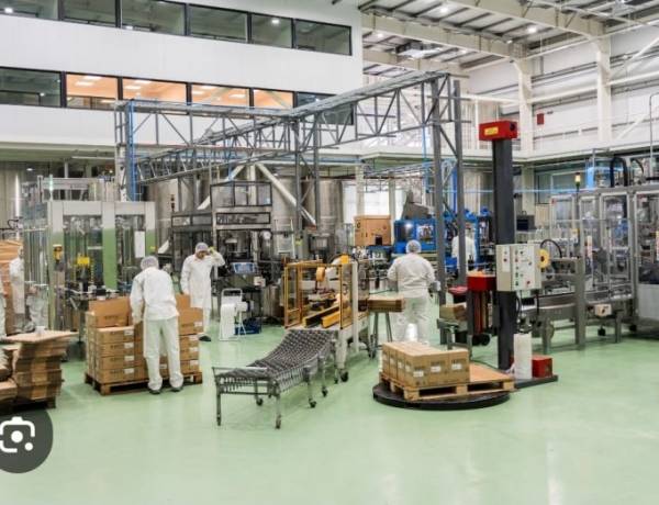 Las empresas agroindustriales electrointensivas podrán pagar la energía en cuotas