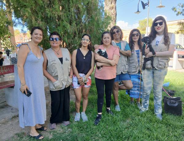 Hogar Animal Jáchal: Personería Jurídica en vigencia y a un paso de constituir su primera comisión directiva