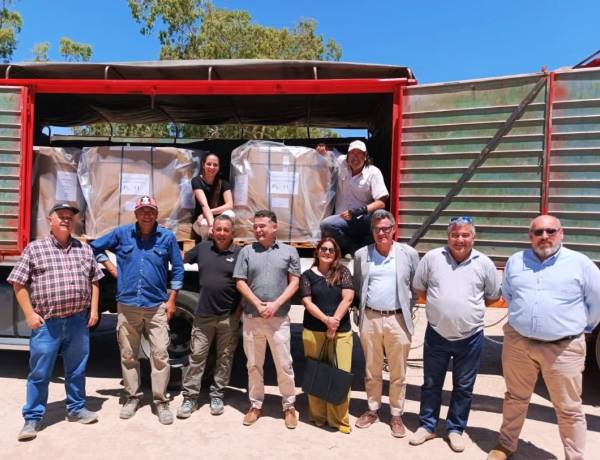 Jáchal logró la primera exportación de semillas de cebolla a Países Bajos