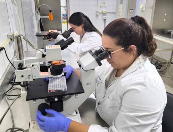 Impulsa Ciencia: el programa que potencia la investigación y la divulgación científica