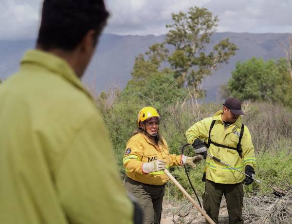 Ambiente lanza un nuevo programa de capacitación sobre prevención de incendios forestales