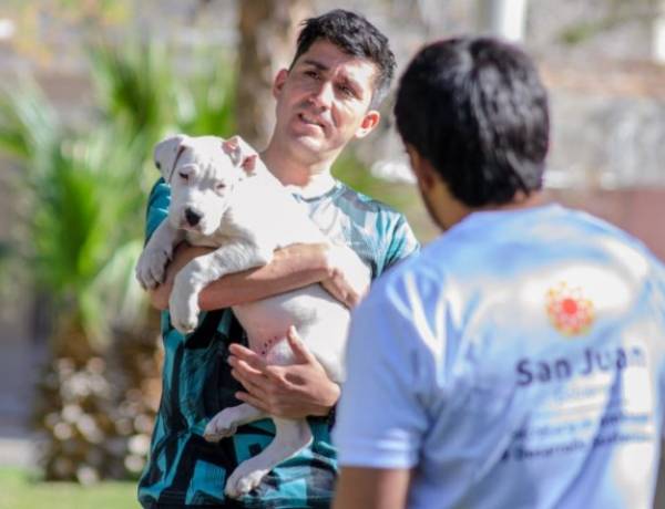 Realizarán operativos y actividades gratuitas en el marco del Día del Animal
