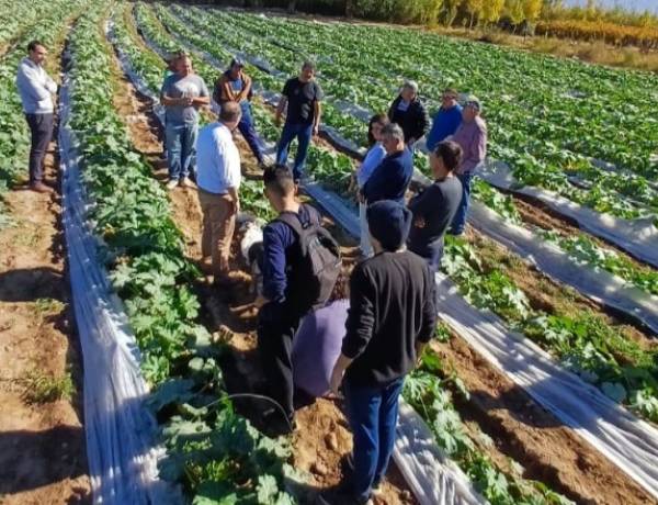 Producción continúa impulsando acciones para acompañar a los horticultores