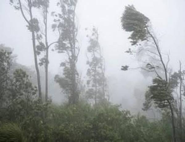 Protección Civil: temporal con nevadas, viento Zonda y descenso de temperaturas durante varios días