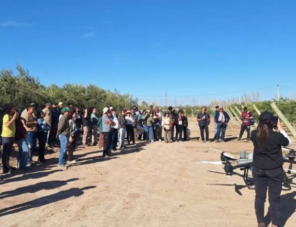 Cien empresas de distintas provincias se sumaron a la Jornada a Campo de ArgOliva