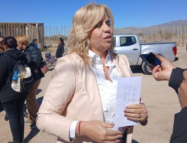 Discapacidad. Nuevo proyecto de ley: De la emergencia, a un Sistema Permanente