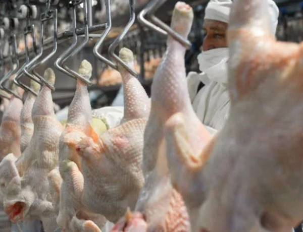 El pollo superó a la carne vacuna en consumo por primera vez