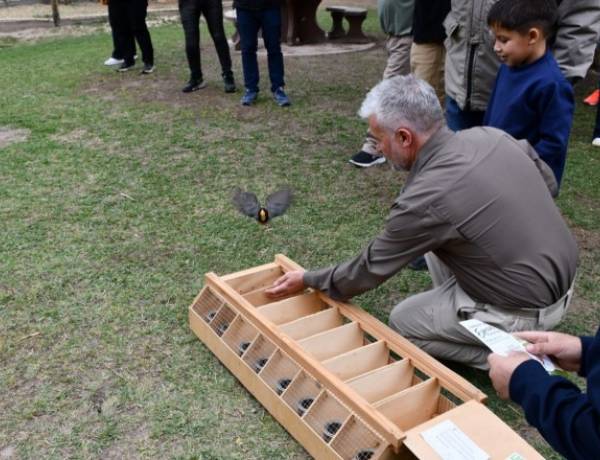 San Juan liberó aves autóctonas recuperadas del tráfico ilegal
