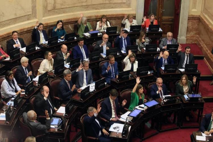 El sueldo bruto de los senadores superará los $7 millones: la trama detrás de una votación escandalosa entre “gallos y media noche”
